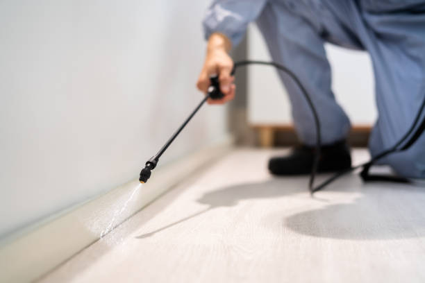 Licensed Pest Control service in Marcellus, MI - Show Me Pest Control