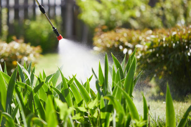 24/7 Emergency Mosquito Control experts in Marcellus, MI