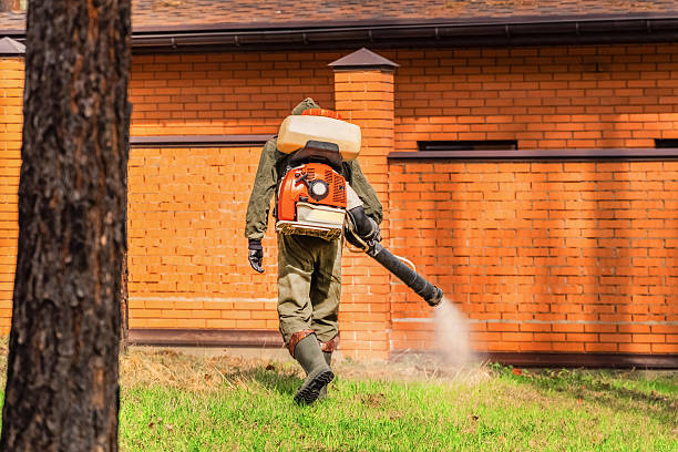 Top rated local Mosquito Control specialists in Marcellus, MI